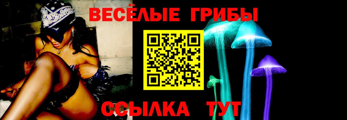 Феодосия  Псилоцибиновые грибы Magic Shrooms  Вход с VPN 
